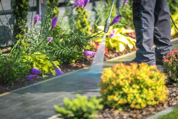 Best Gutter Cleaning  in Peabody, MA